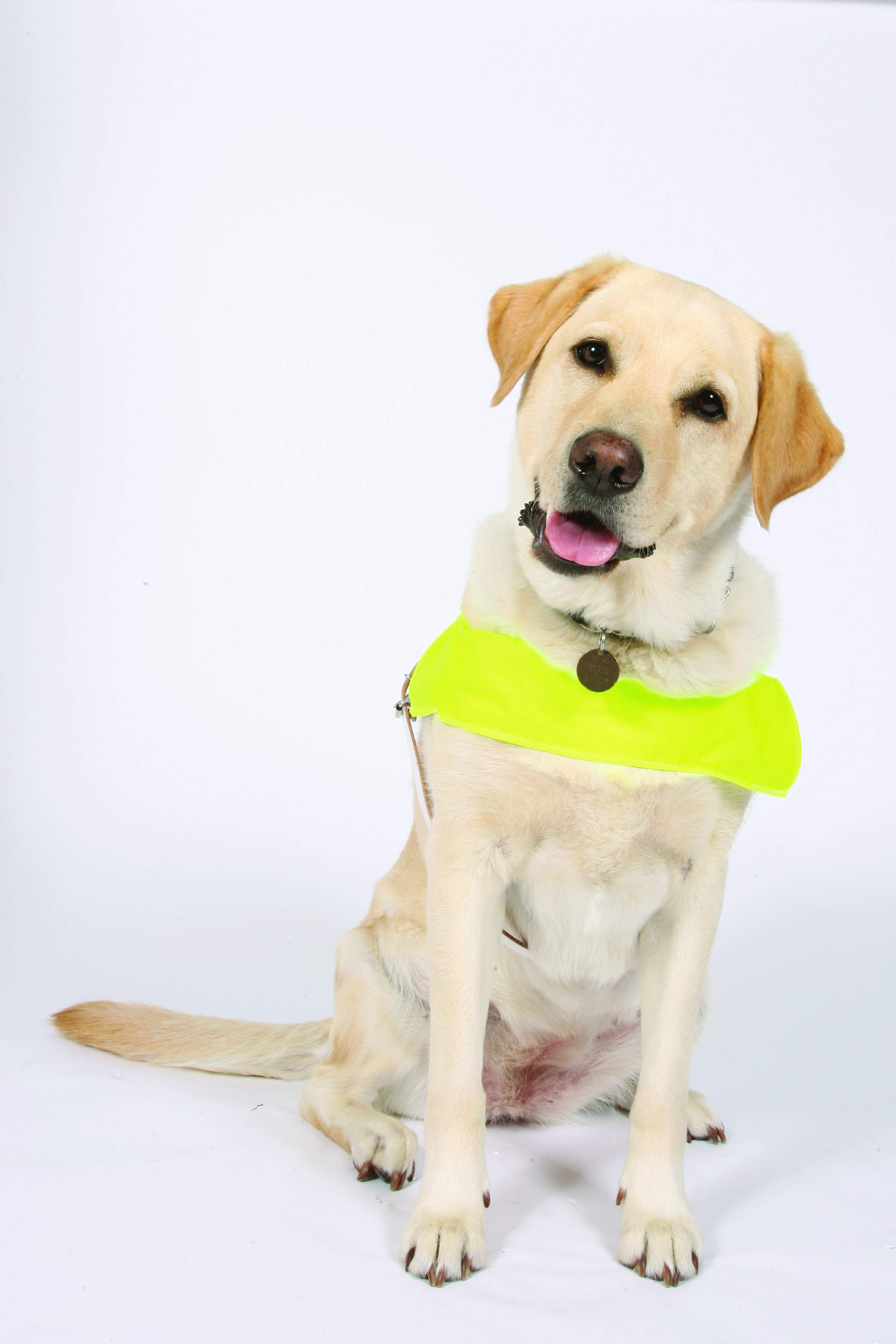 guide dogs victoria cannot cancel sponsor