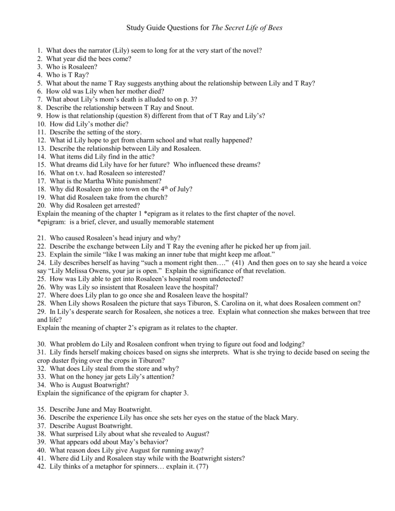 secret life of bees study guide chapter 13