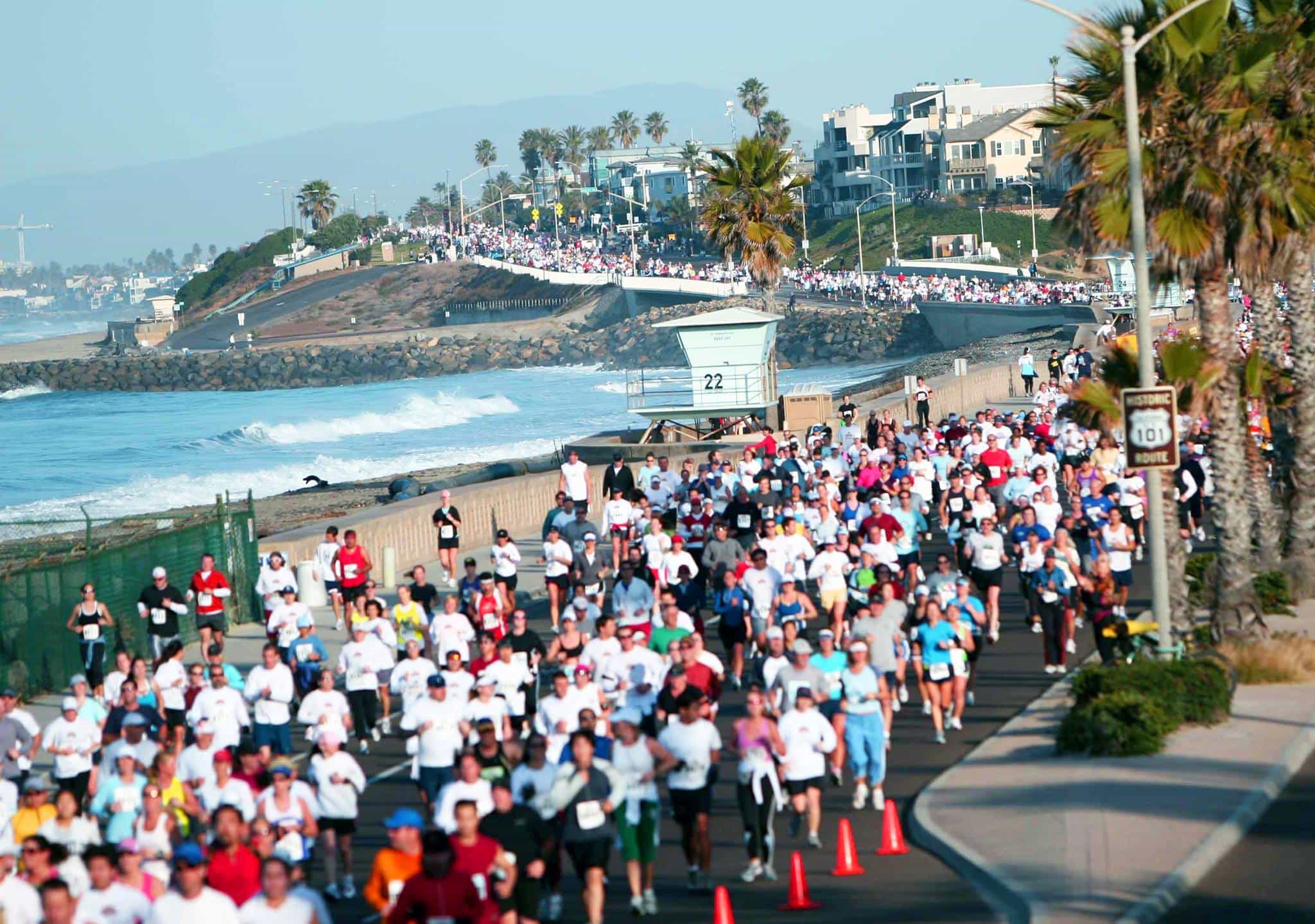 city to surf marathon training guide