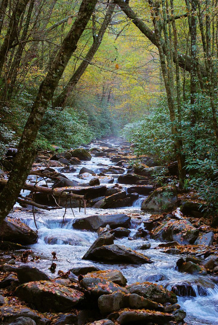 smoky mountain national park trail guide