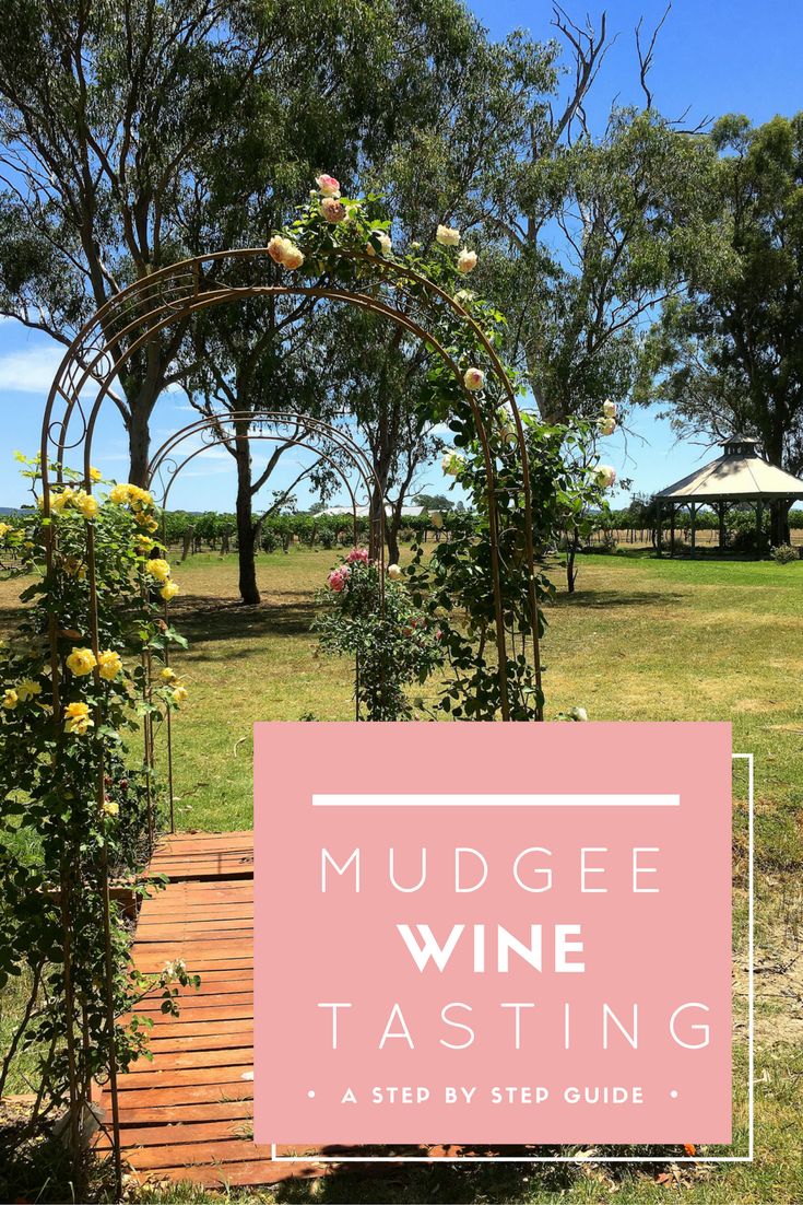 local travel guides to mudgee