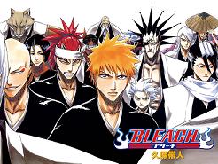bleach illustrated guide to soul reapers english dub