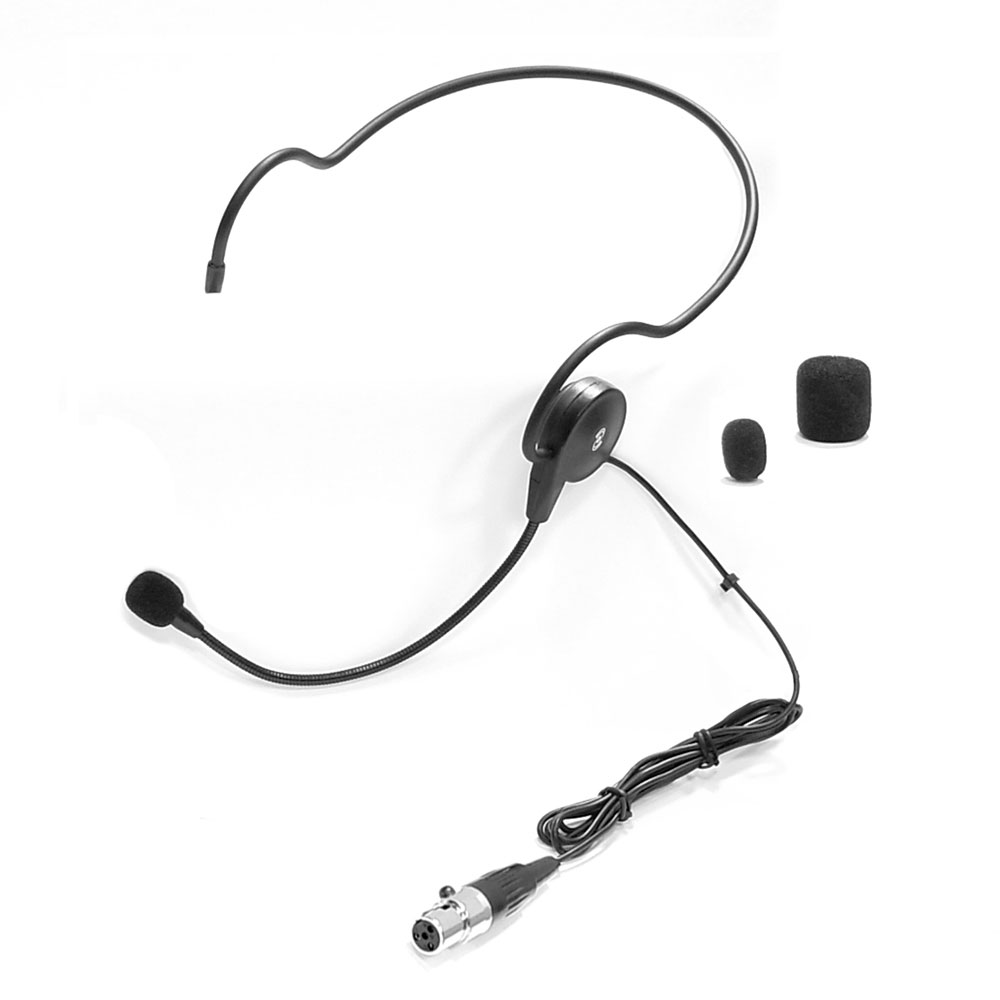 cochlear mini mic user guide